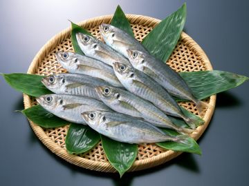 魚虎本店