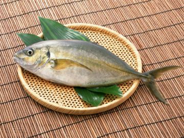 北海