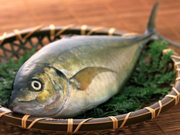 遊食彩宴やまとや