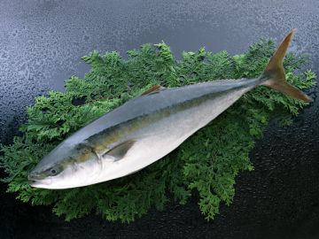 じんぎすかん